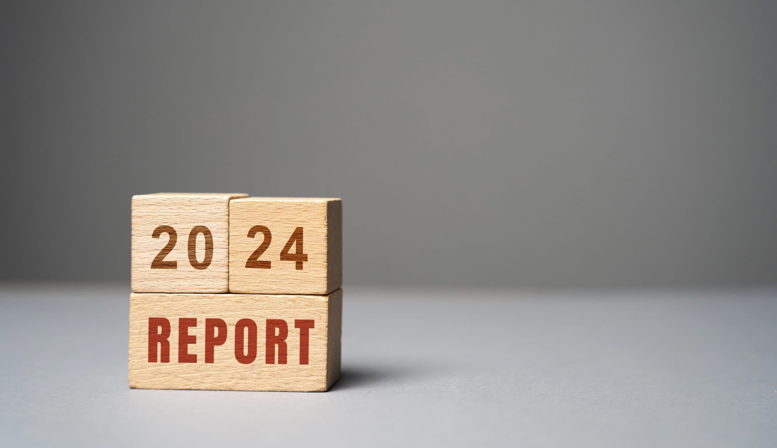 How 2024 Reinvented the Pizza Playbook